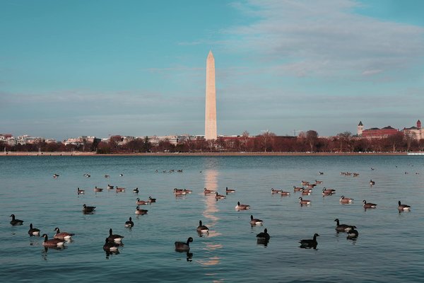 Escales de croisière pour les amoureux de la nature